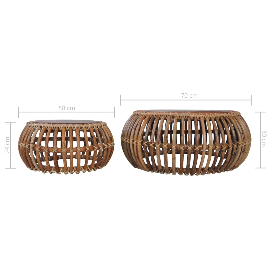 Natural Rattan Coffee Tables 2 pcs